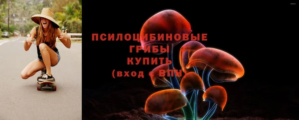первитин Володарск