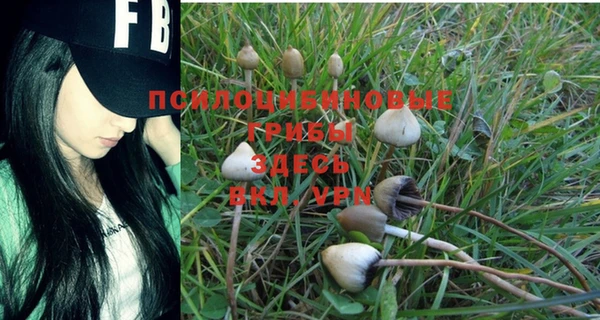 первитин Володарск