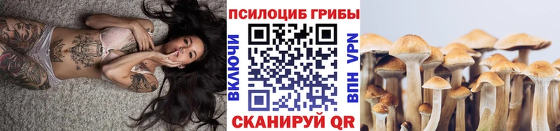 Купить где Гдов Галлюциногенные грибы мухоморы